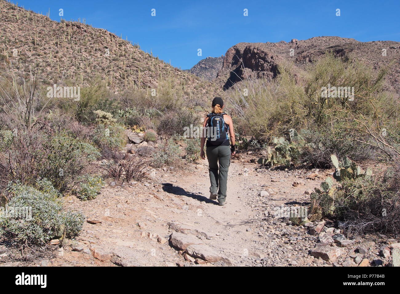 Woman hiking the Pima Canyon trail in the Santa Catalina Mountains near ...