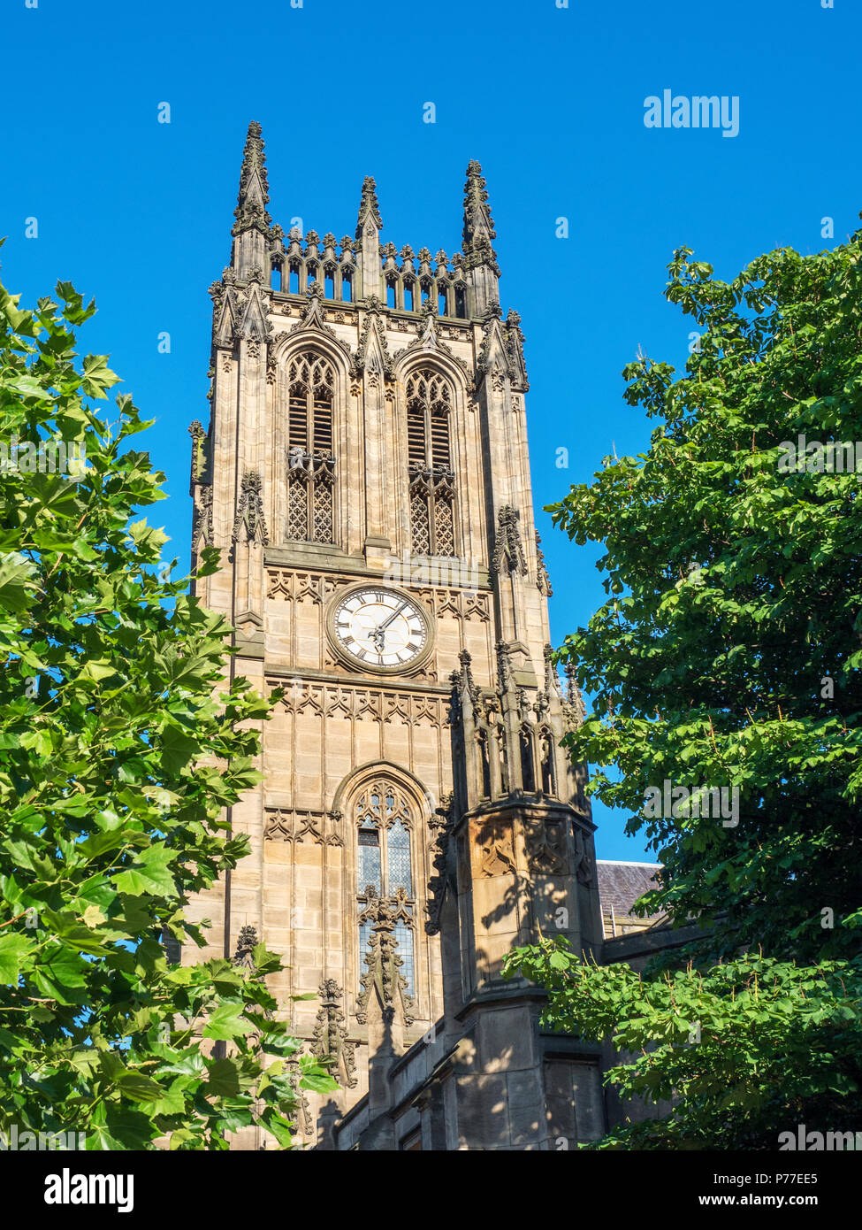 The clock tower at Leeds Minster in summer Leeds West Yorkshire England Stock Photo