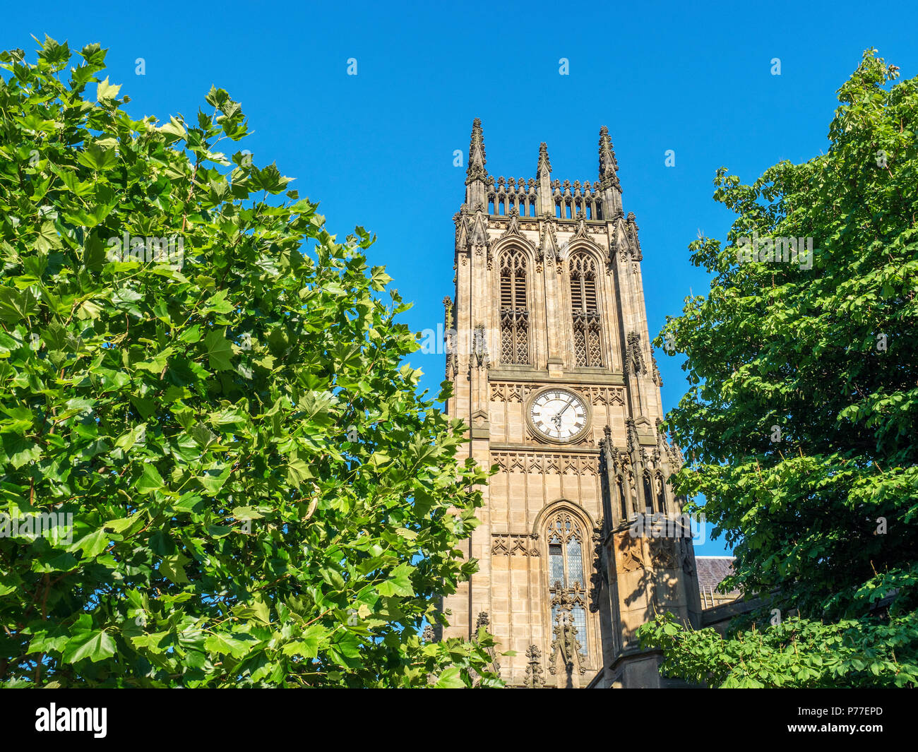 The clock tower at Leeds Minster in summer Leeds West Yorkshire England Stock Photo