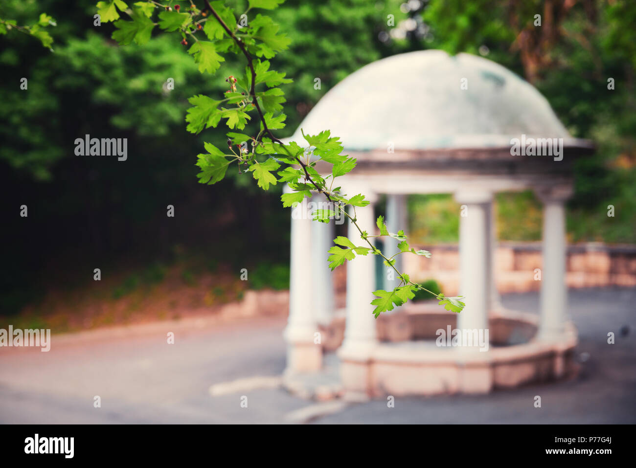 rotunda through the green leaves of trees Stock Photo