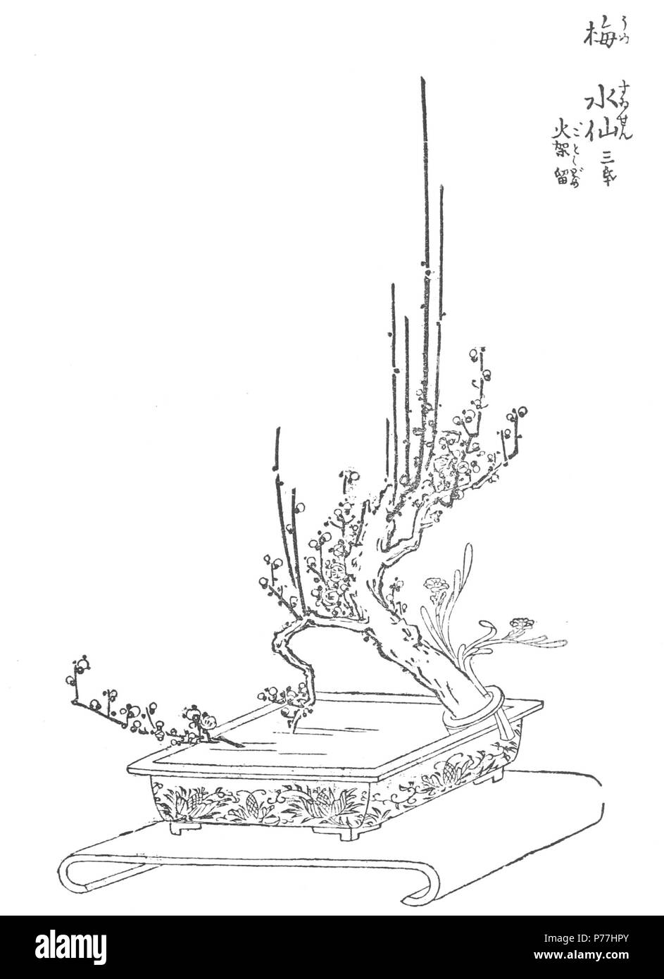 6 Japanese flower arrangement p105 Stock Photo Alamy