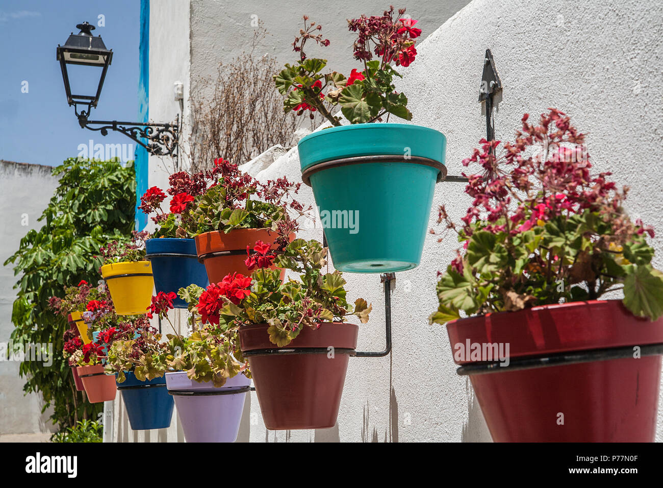 twenty thousand flowerpots in Estepona Stock Photo