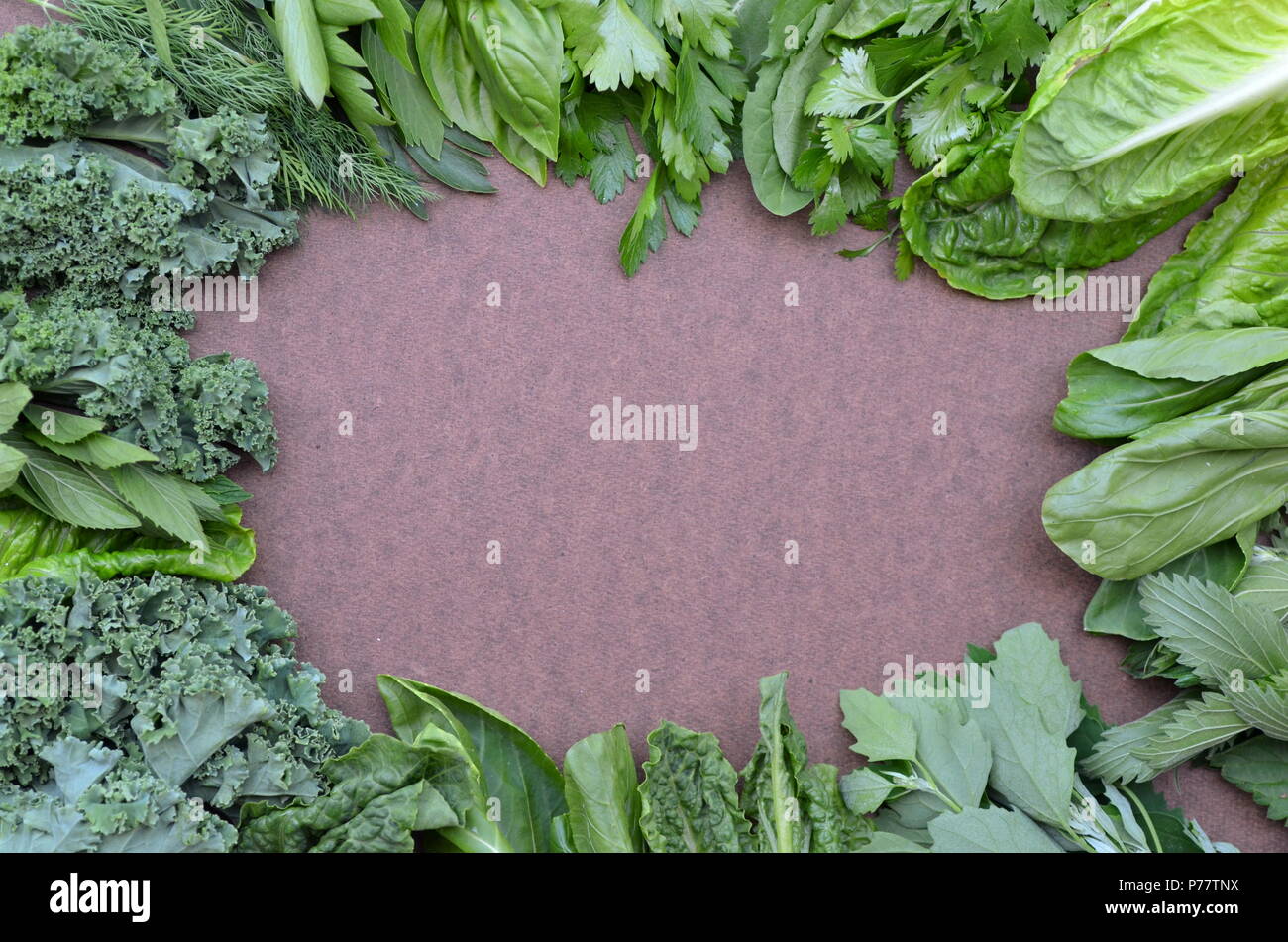 Top view flat layout of fresh culinary herbs and green leafy vegetables ...