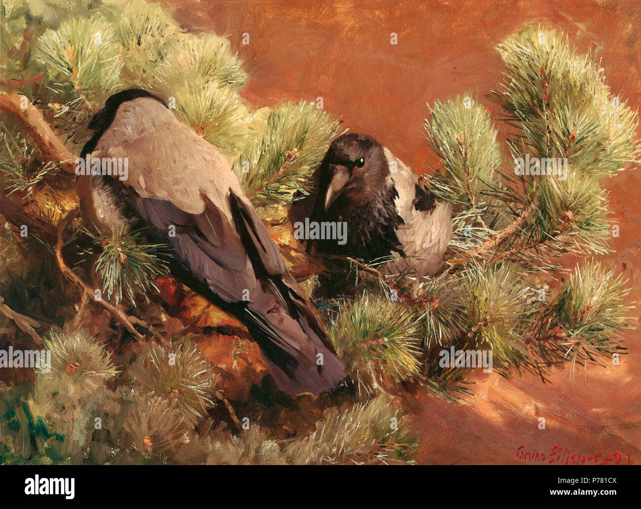 . Hooded Crows / Kråkor 1891 6 Bruno Liljefors - Hooded Crows Stock ...