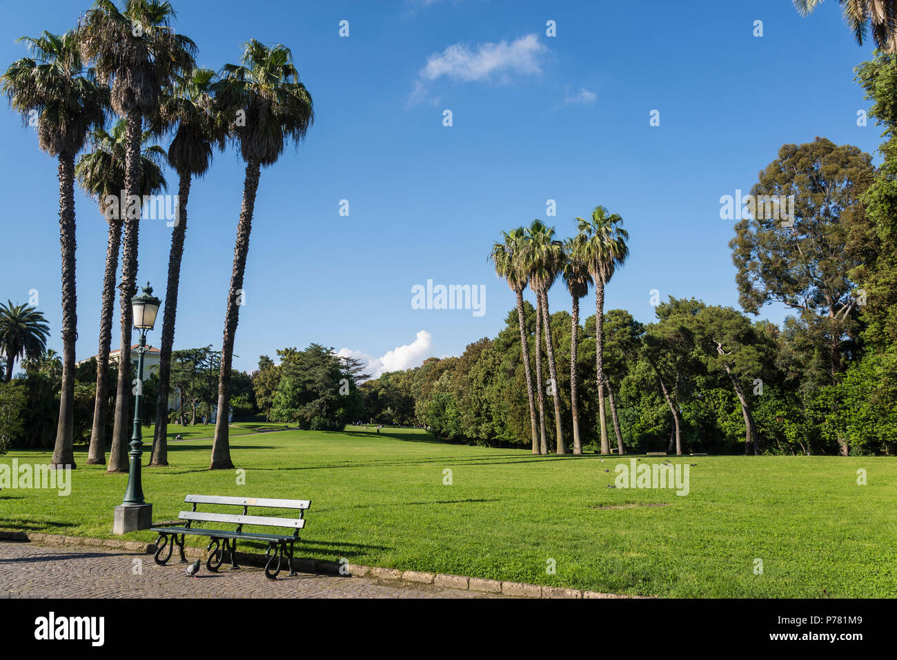 Capodimonte Park, hilltop Bourbon royal park now public park, Naples, Italy Stock Photo