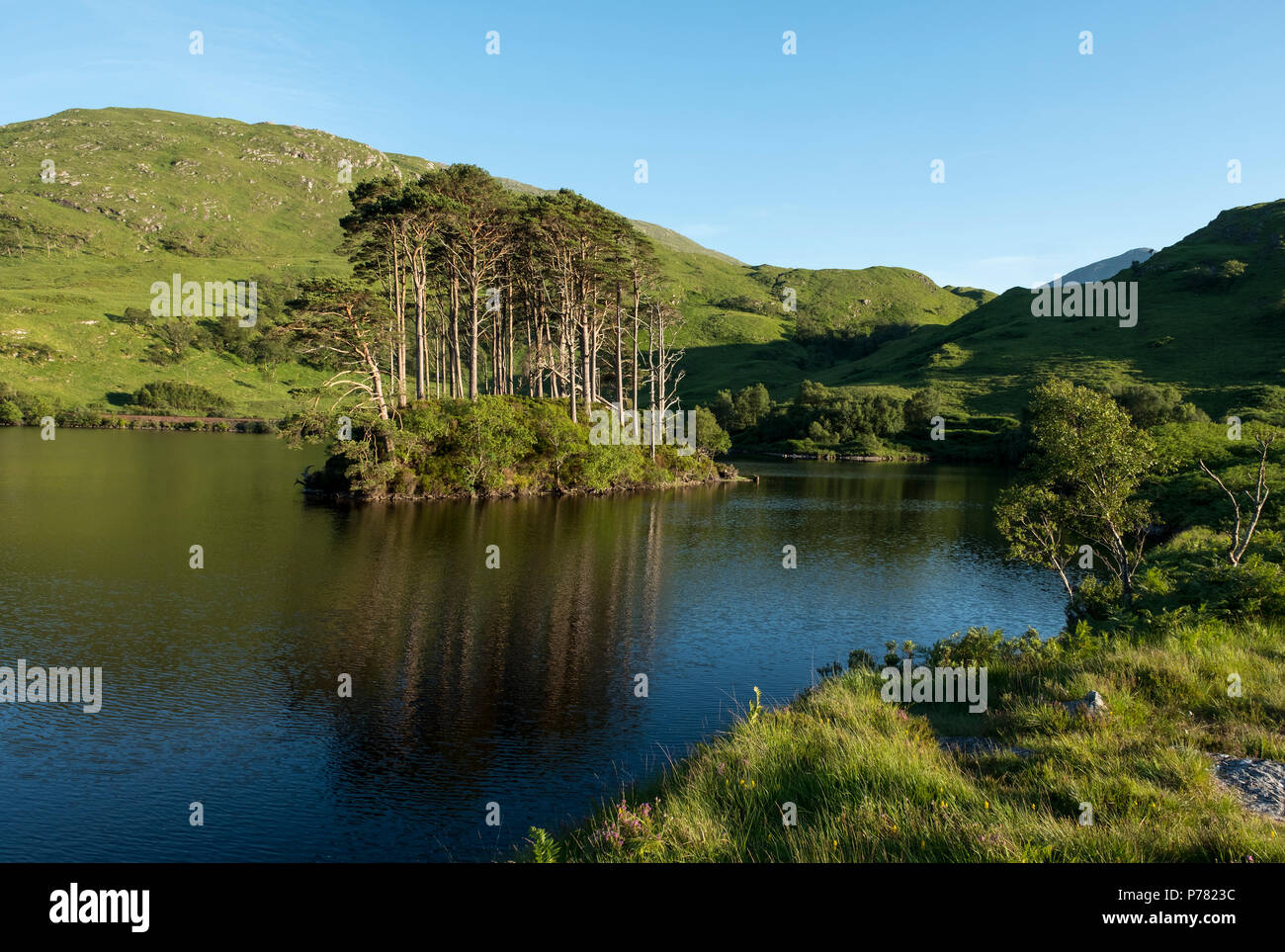 Eilean na Moine island, Loch Eilt, Lochaber, Scotland. This small island was used as a location in the Harry Potter the Chamber of Secrets. Stock Photo