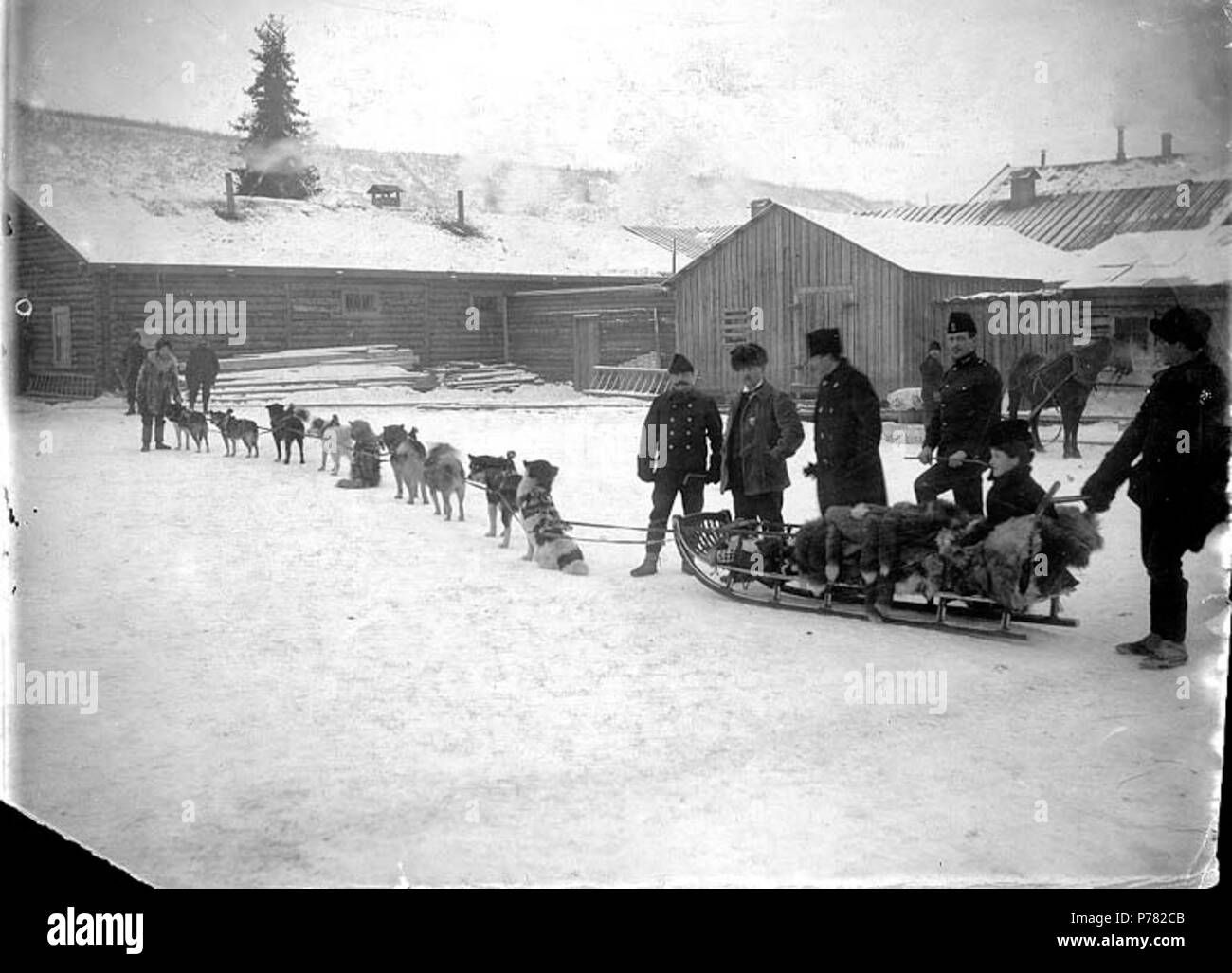 . English: North-West Mounted Police and woman with dogsled team, Dawson, Yukon Territory, ca. 1898. English: On verso of image: Mounted police at Dawson' Subjects (LCTGM): Dog teams--Yukon--Dawson; Sleds & sleighs--Yukon--Dawson; Women--Yukon--Dawson; Log buildings--Yukon--Dawson; Police--Yukon--Dawson Subjects (LCSH): North West Mounted Police (Canada)  . circa 1898 10 North-West Mounted Police and woman with dogsled team, Dawson, Yukon Territory, ca 1898 (HEGG 643) Stock Photo