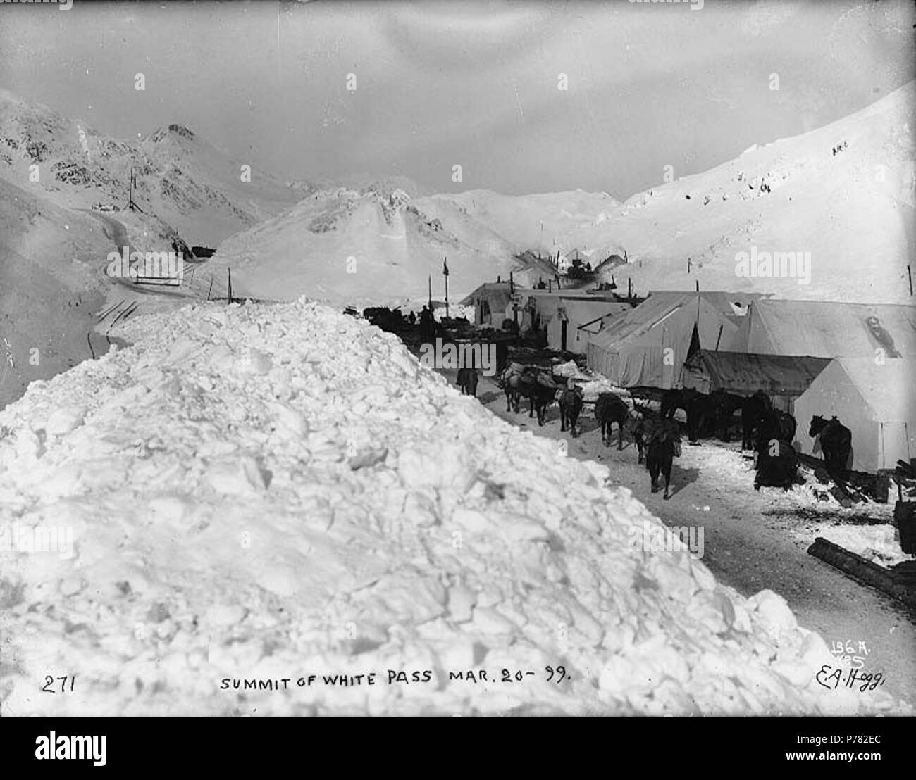 . English: Packtrains and tents at the summit of White Pass, Alaska, March 20, 1899. English: Caption on image: 'Summit of White Pass Mar. 20 '99'' Original image in Hegg Album 3, page 28 . Original photograph by Eric A. Hegg 271; copied by Webster and Stevens 136.A . Klondike Gold Rush Subjects (LCTGM): Pack animals--Alaska--White Pass; Tents--Alaska--White Pass; Snow--Alaska--White Pass Subjects (LCSH): White Pass (B.C.); Mountain passes--Alaska; White Pass Trail; Trails--Alaska  . 1899 10 Packtrains and tents at the summit of White Pass, Alaska, March 20, 1899 (HEGG 74) Stock Photo