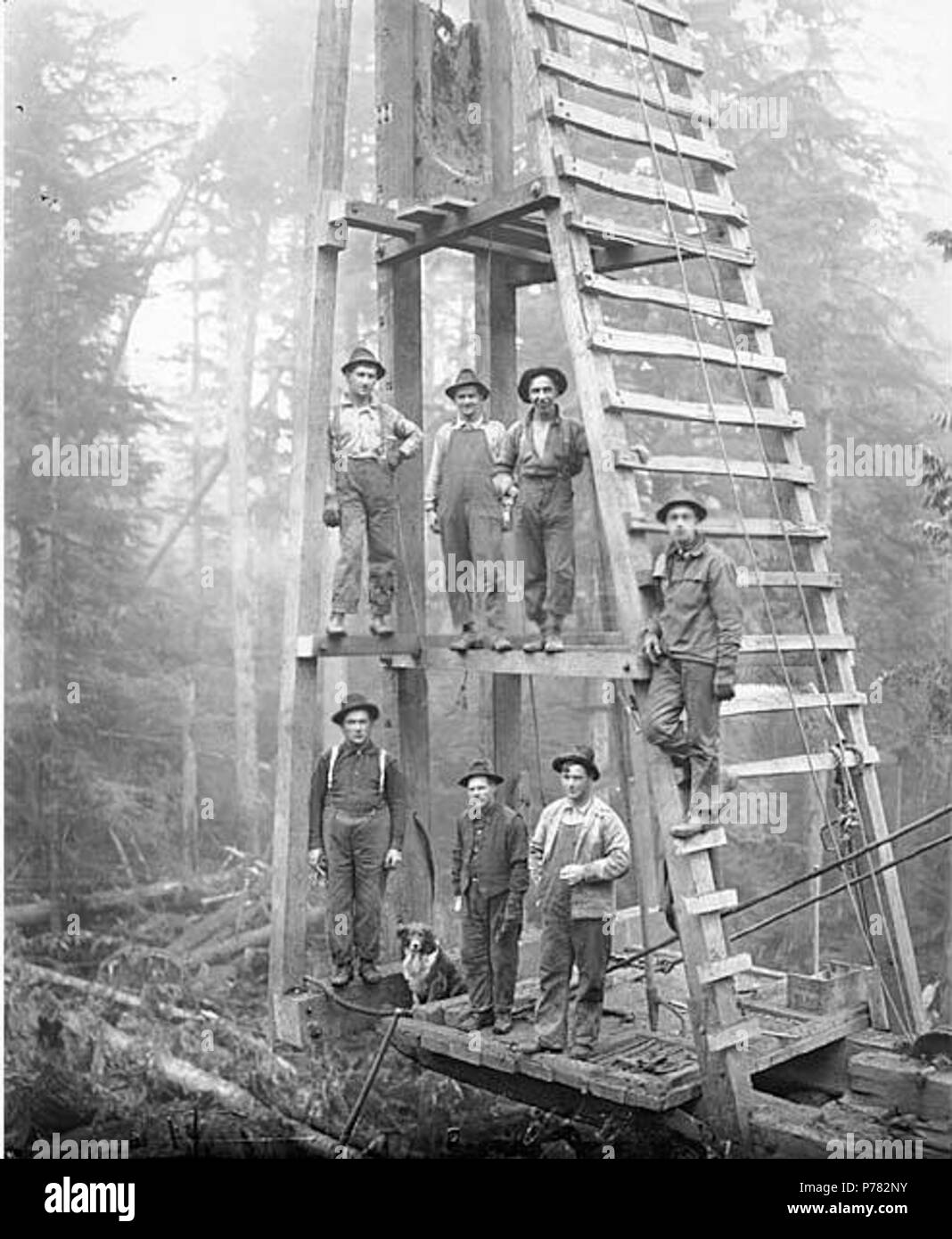 Pile driver Black and White Stock Photos & Images Alamy
