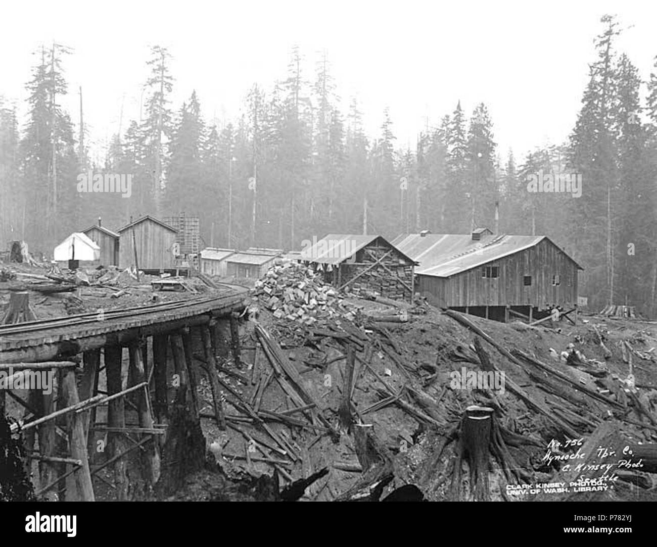 Logging camp washington state hi-res stock photography and images - Alamy