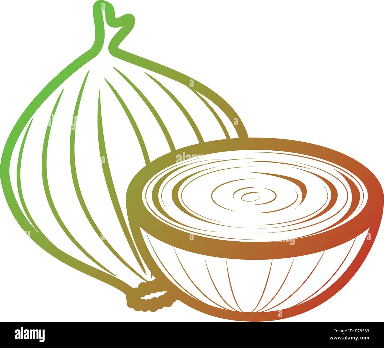 Onion only Stock Vector Images - Alamy