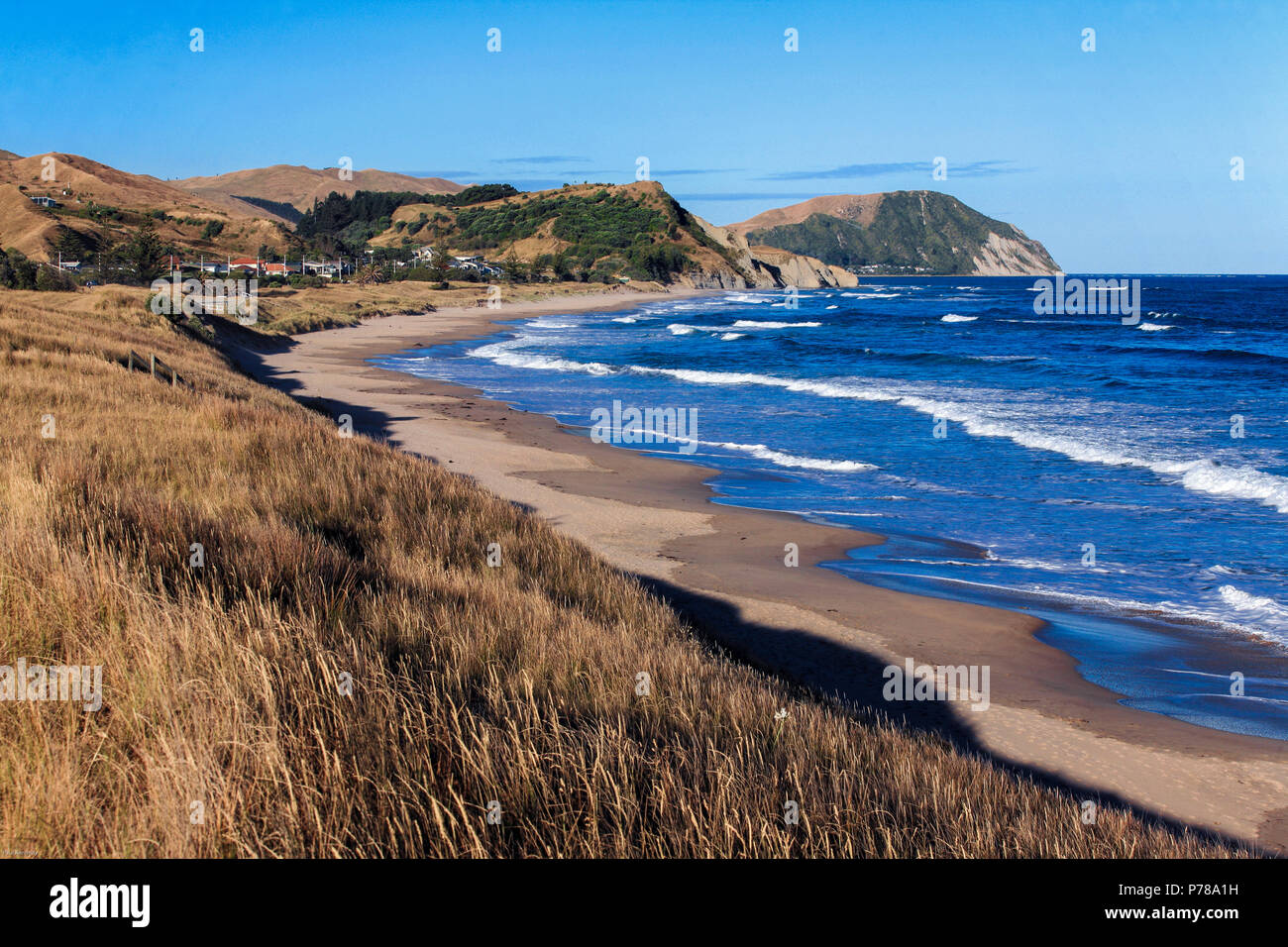 Scenic view of Wainui Beach, Gisborne, New Zealand Stock Photo