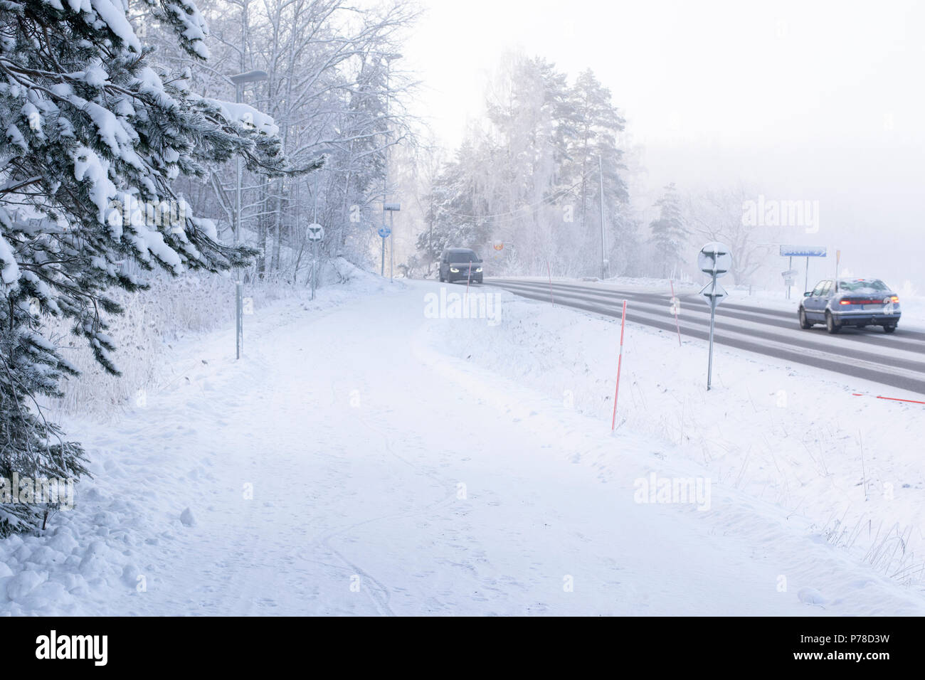 next ladies knee length boots