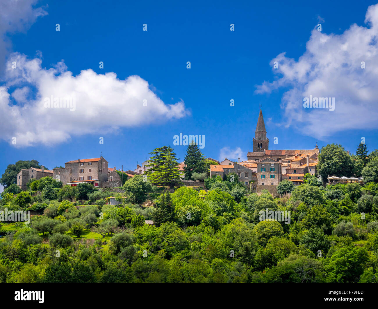 View on Artist village and mountain village Groznjan, Istria, Croatia, Europe Stock Photo