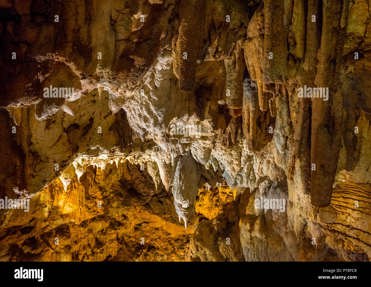 Jama Baredine, stalactite cave, Nova Vas, Porec, Istria, Croatia, Europe Stock Photo