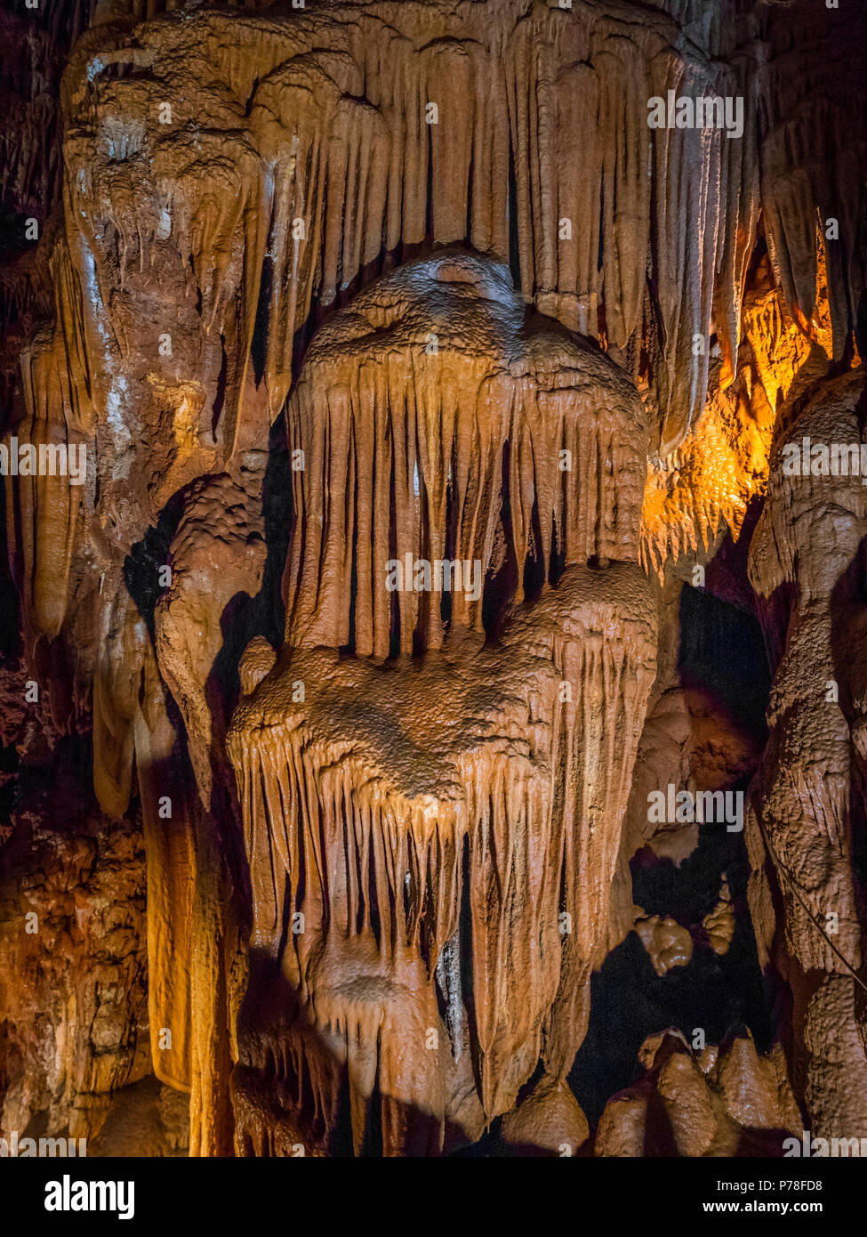 Jama Baredine, stalactite cave, Nova Vas, Porec, Istria, Croatia, Europe Stock Photo