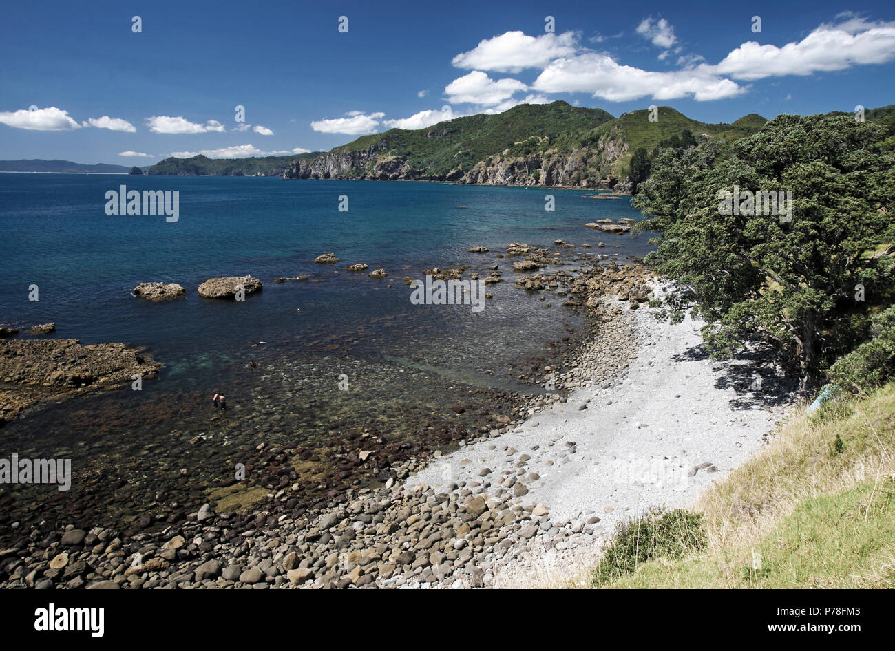 Summer day in Kennedy Bay, Coromandel Peninsula, New Zealand Stock