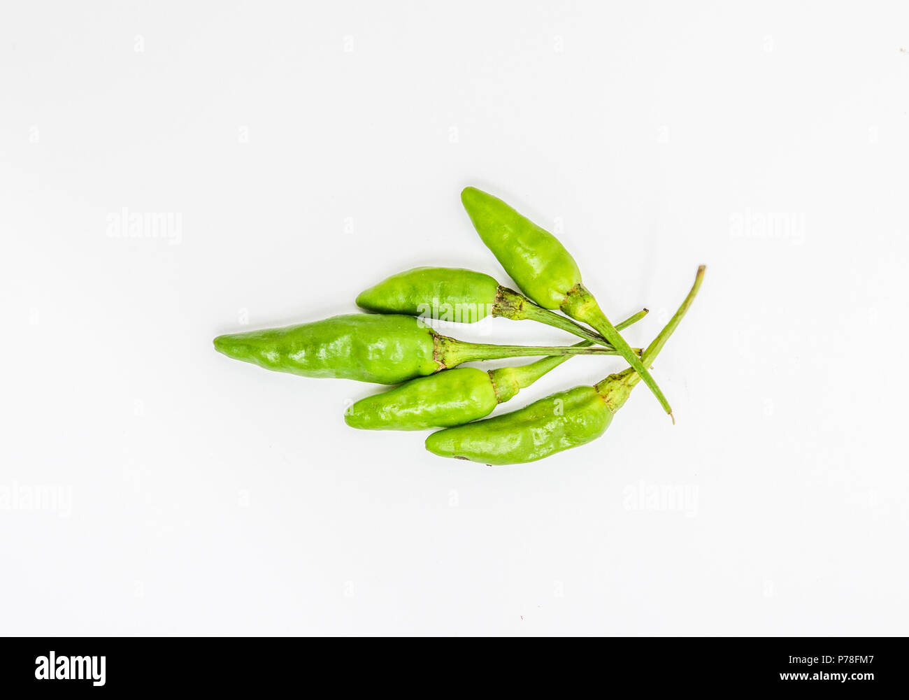 PIMENT OISEAU - BIRD CHILI