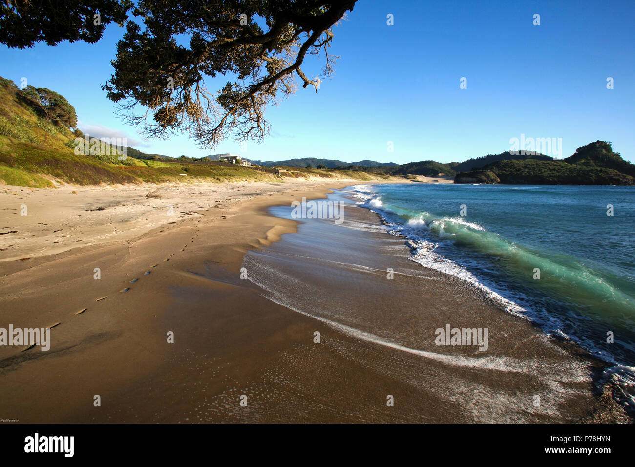 Harataonga beach on Great Barrier Island, New Zealand Stock Photo