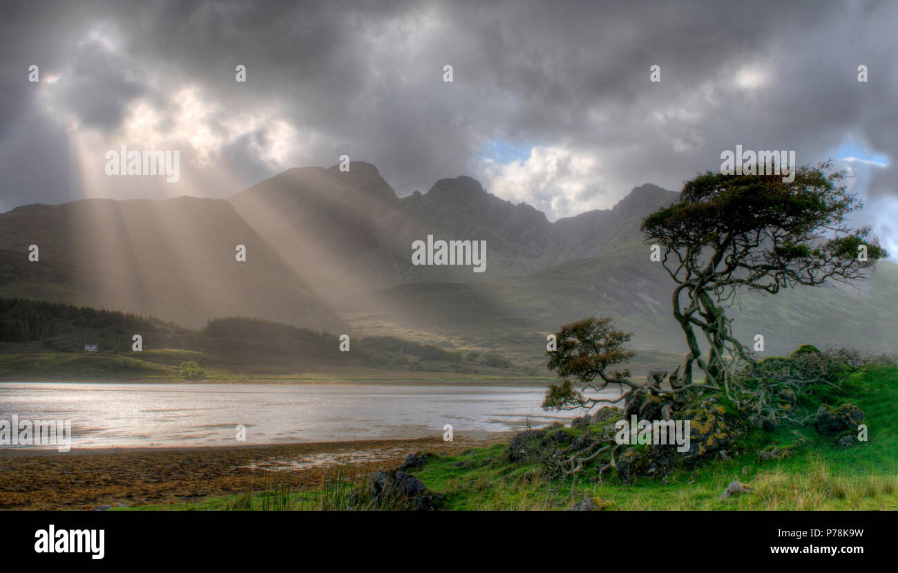 Idyllic landscape with stormy sky and sun rays hitting the lonely tree ...