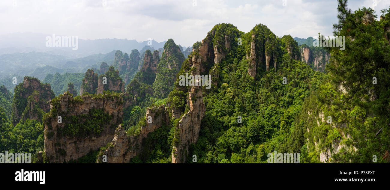 Beautiful panorama of karst mountains in Zhiangjiajie National Park, China Stock Photo