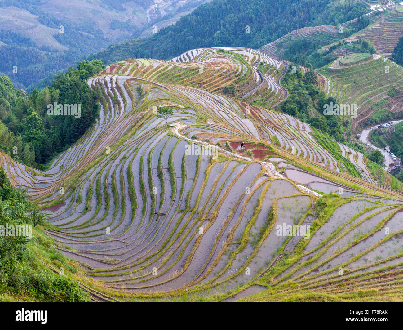 Colorful Dragon's Backbone rice terraces in Longsheng, Yunnan, China Stock Photo