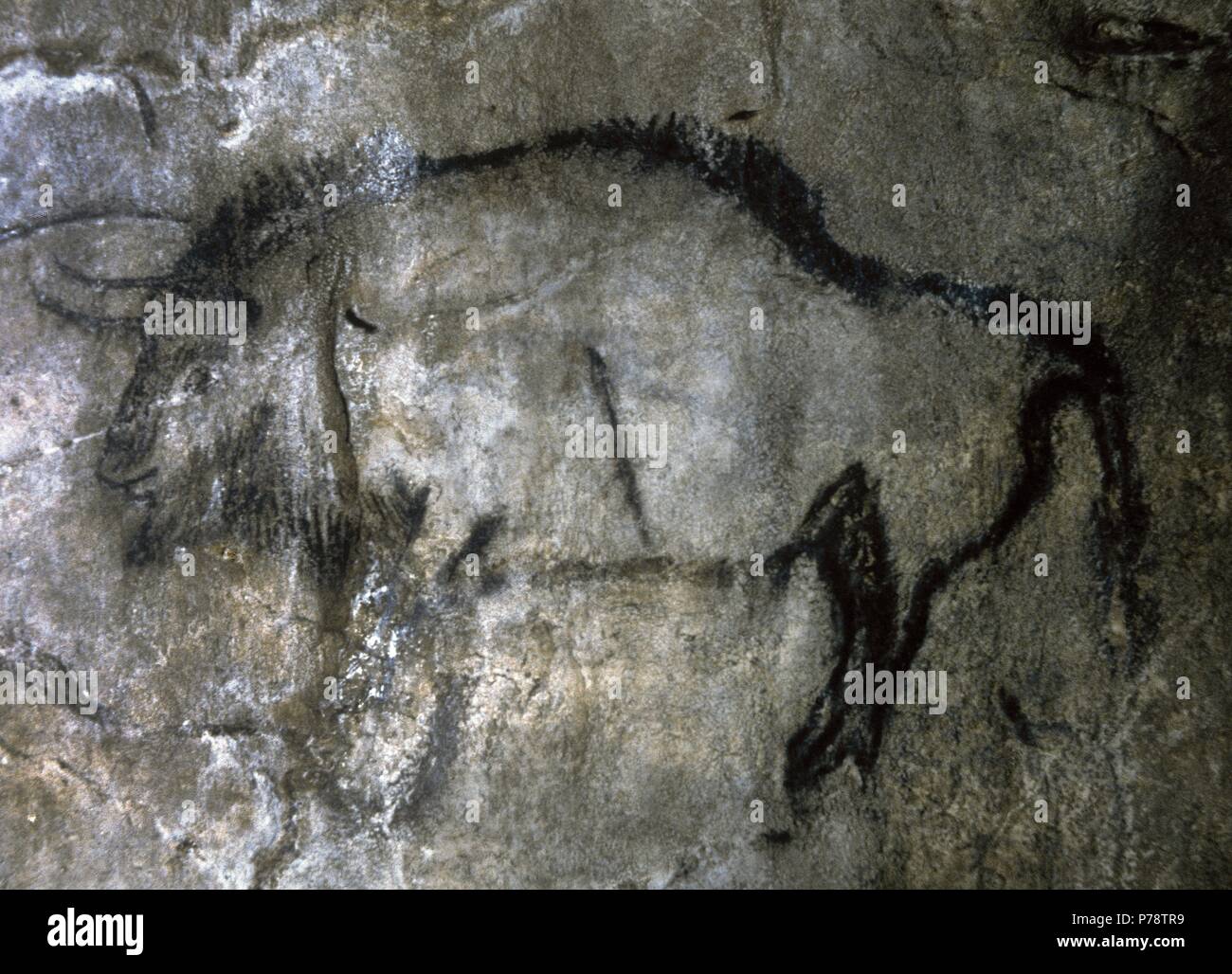 Periodo paleolítico superior hires stock photography and images Alamy