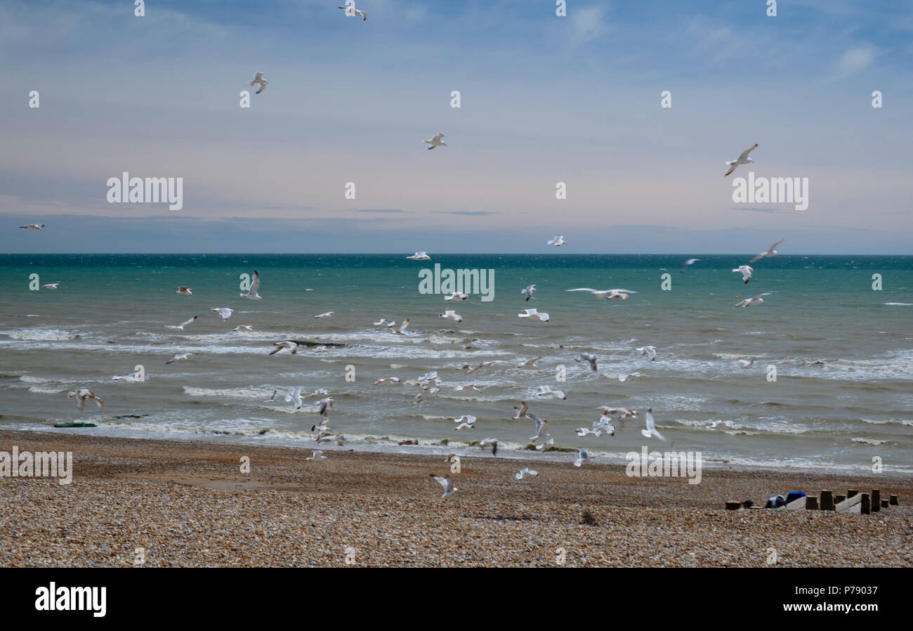Bexhill on sea beach hires stock photography and images Alamy