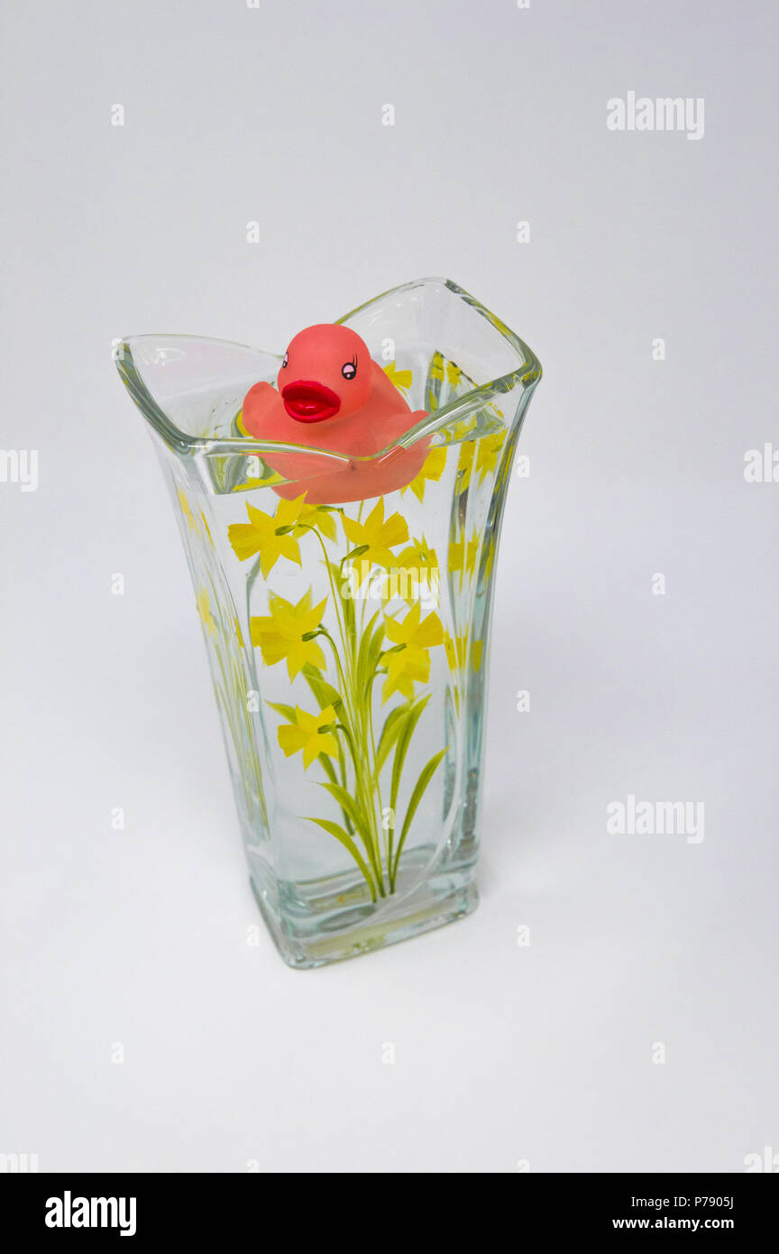 Rubber duck in a glass vase Stock Photo Alamy