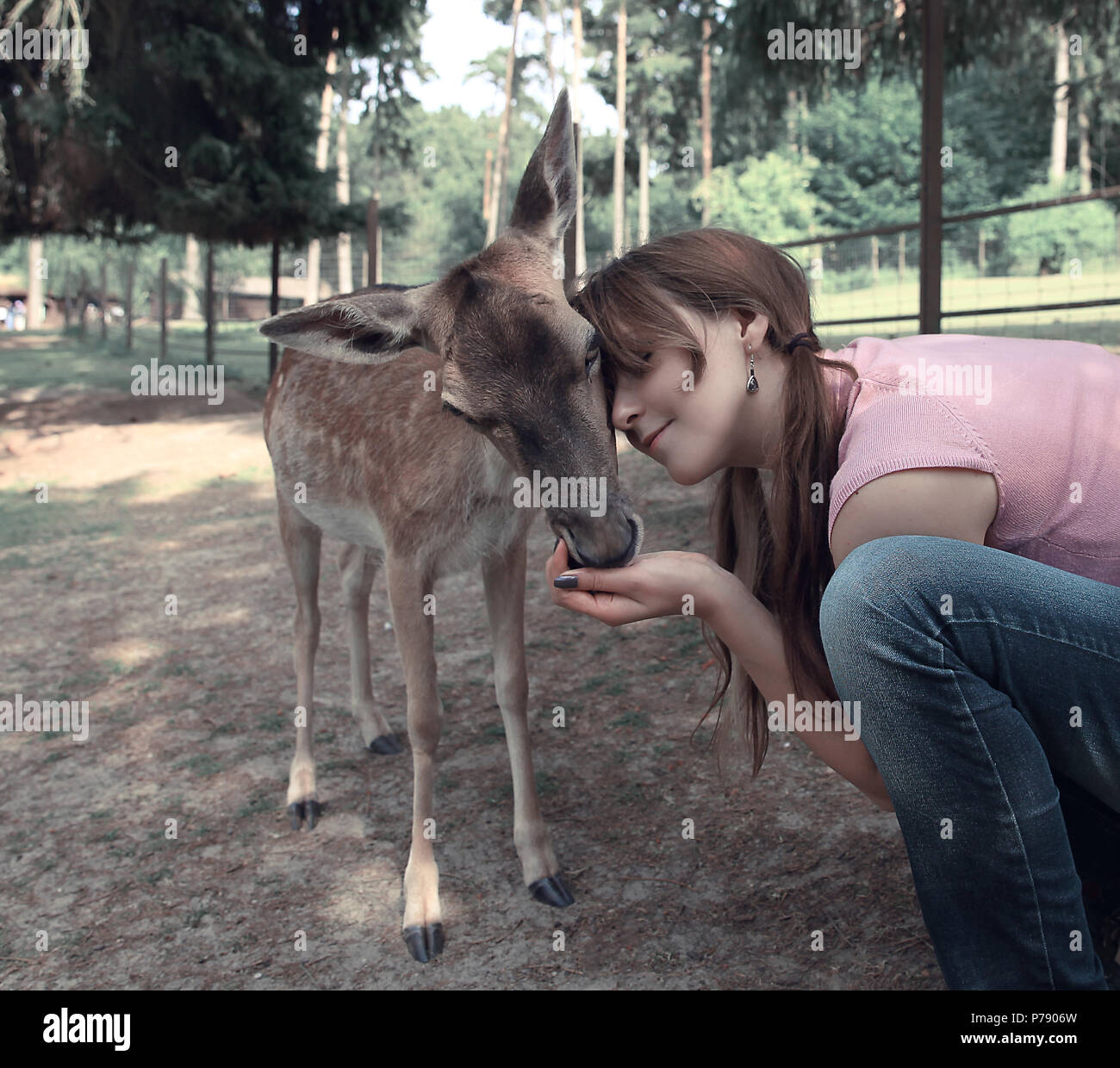 Young beautiful woman hugging animal deer in the park, protecting an animal Stock Photo