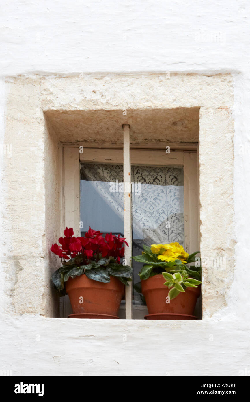 Window with flowers Stock Photo