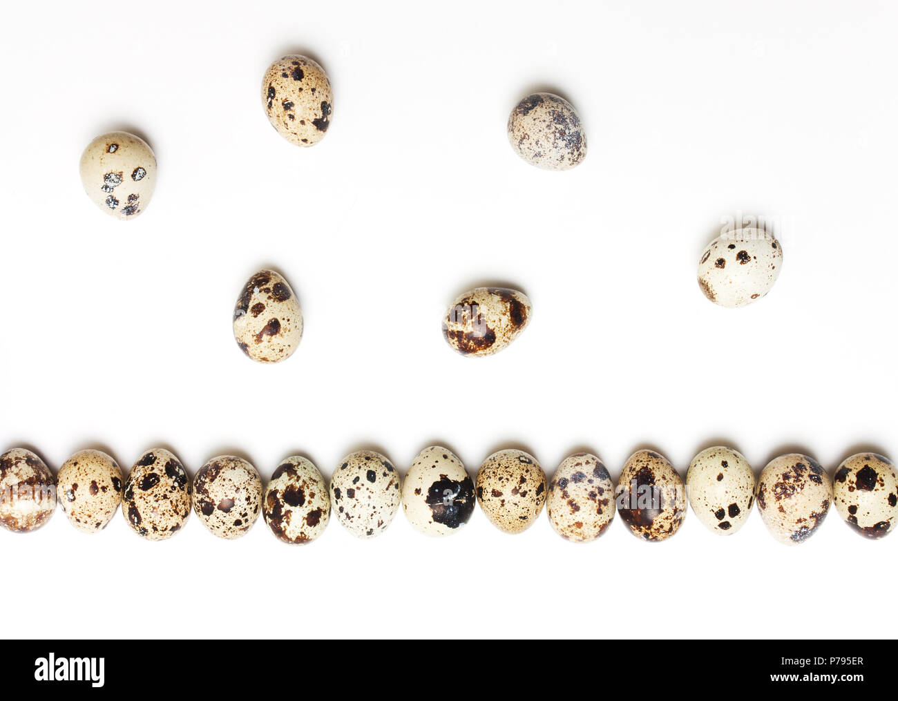 Quail eggs in a row on a white background Stock Photo