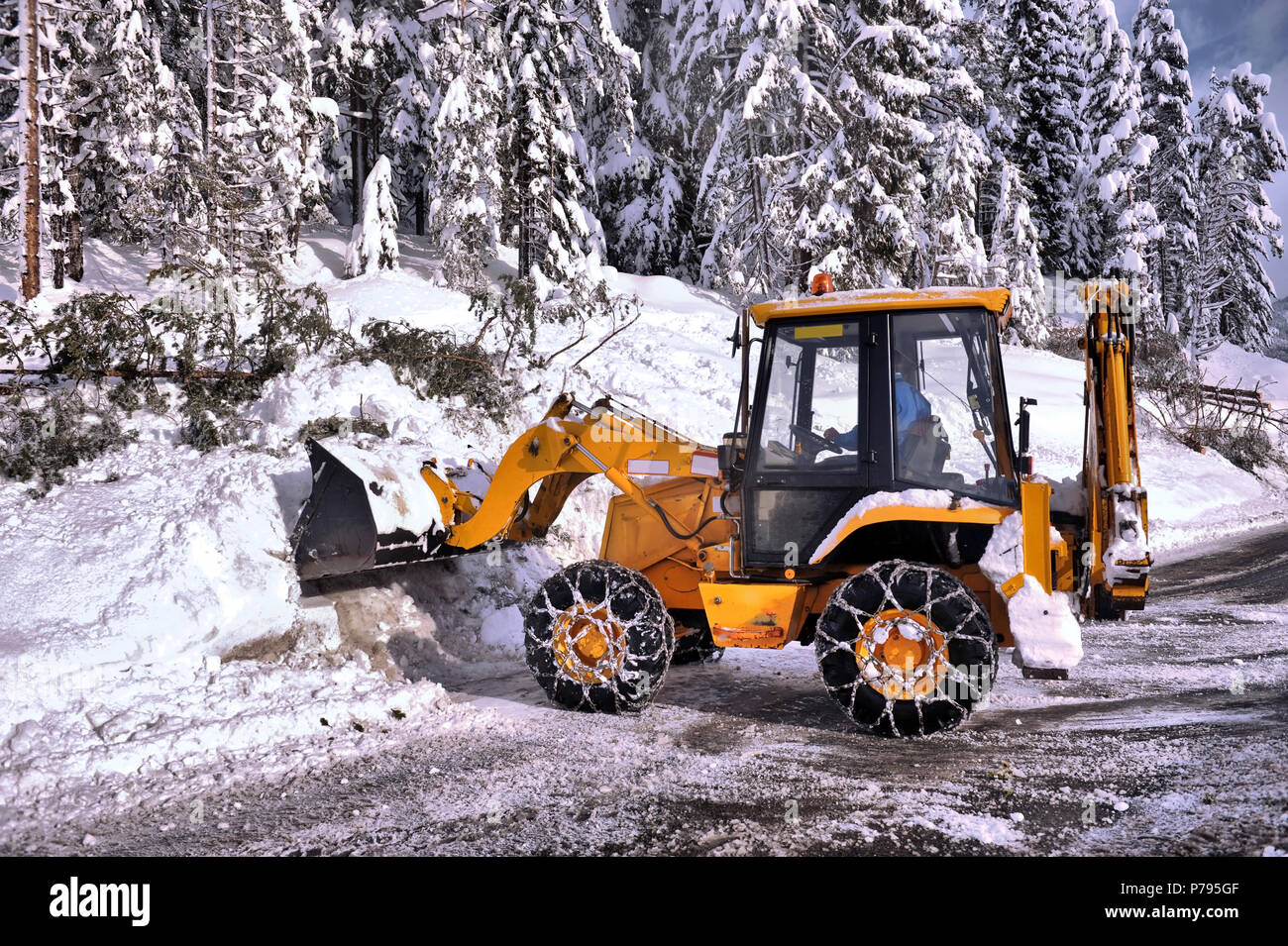 Fallen tree tractor hi-res stock photography and images - Alamy