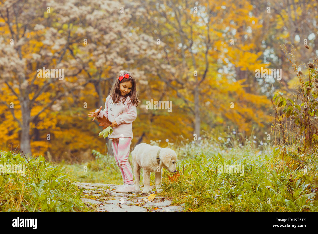 The girl and her golden retriever dog Stock Photo - Alamy