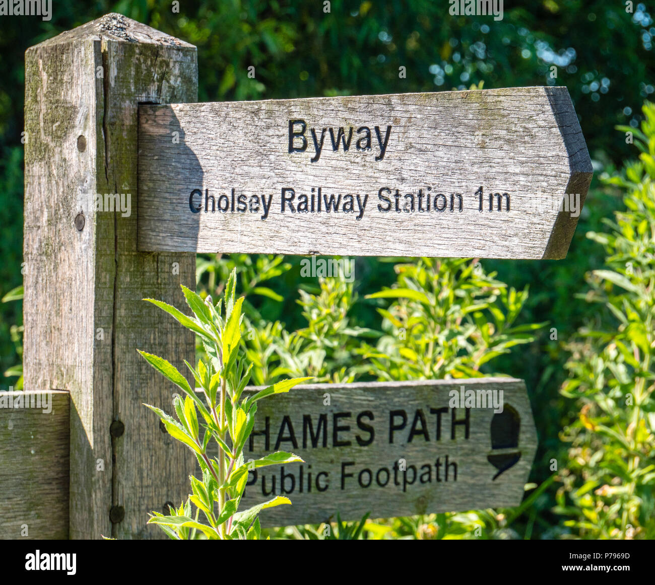 Thames Path, Footpath Sign, Cholsey Marsh, Cholsey, Oxfordshire, England, UK, GB. Stock Photo