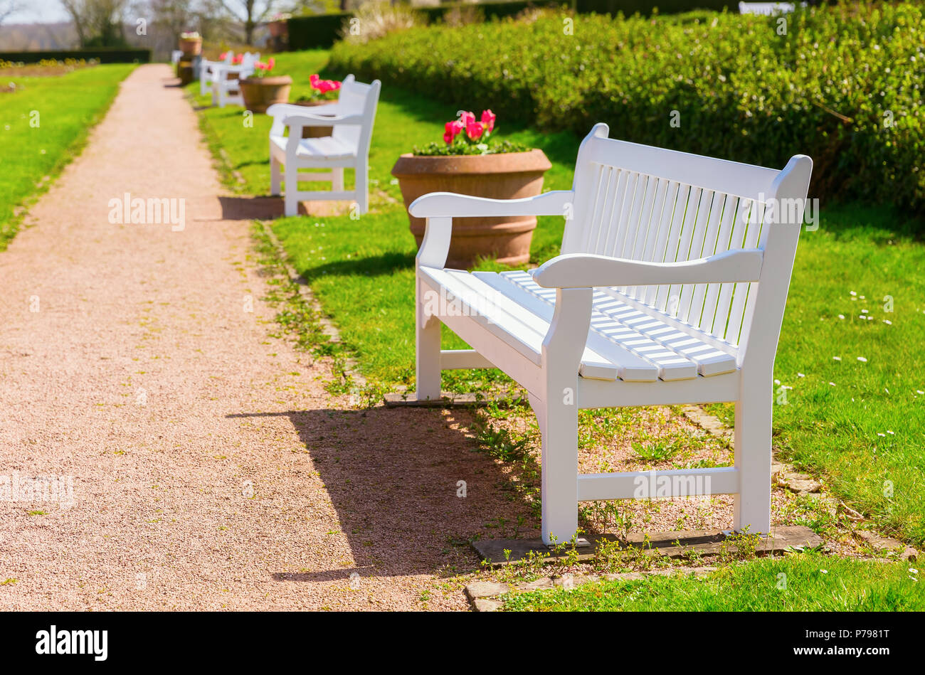 Benches in row along hi-res stock photography and images - Alamy