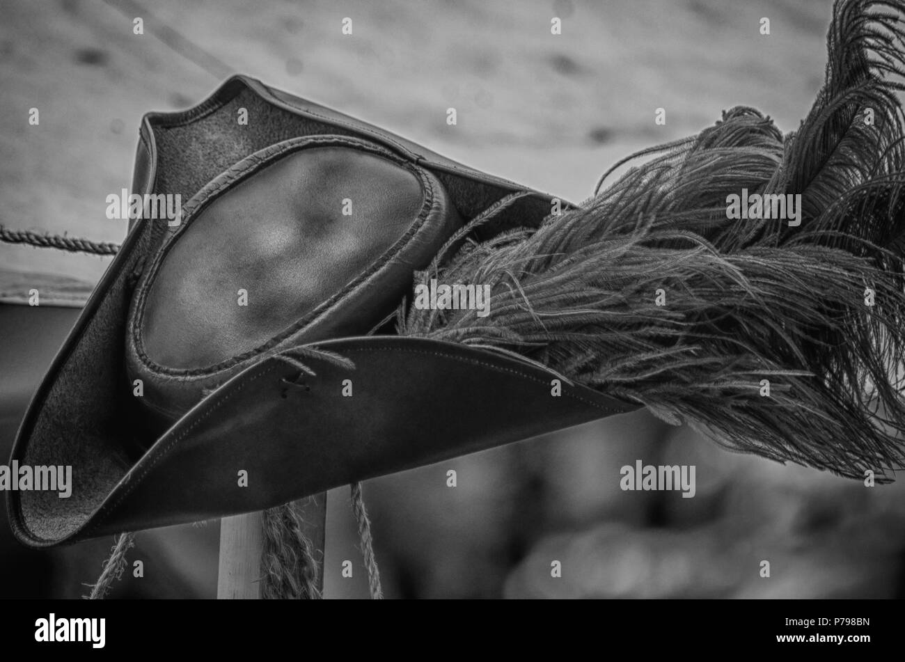 Pirate hat with feather hi-res stock photography and images - Alamy