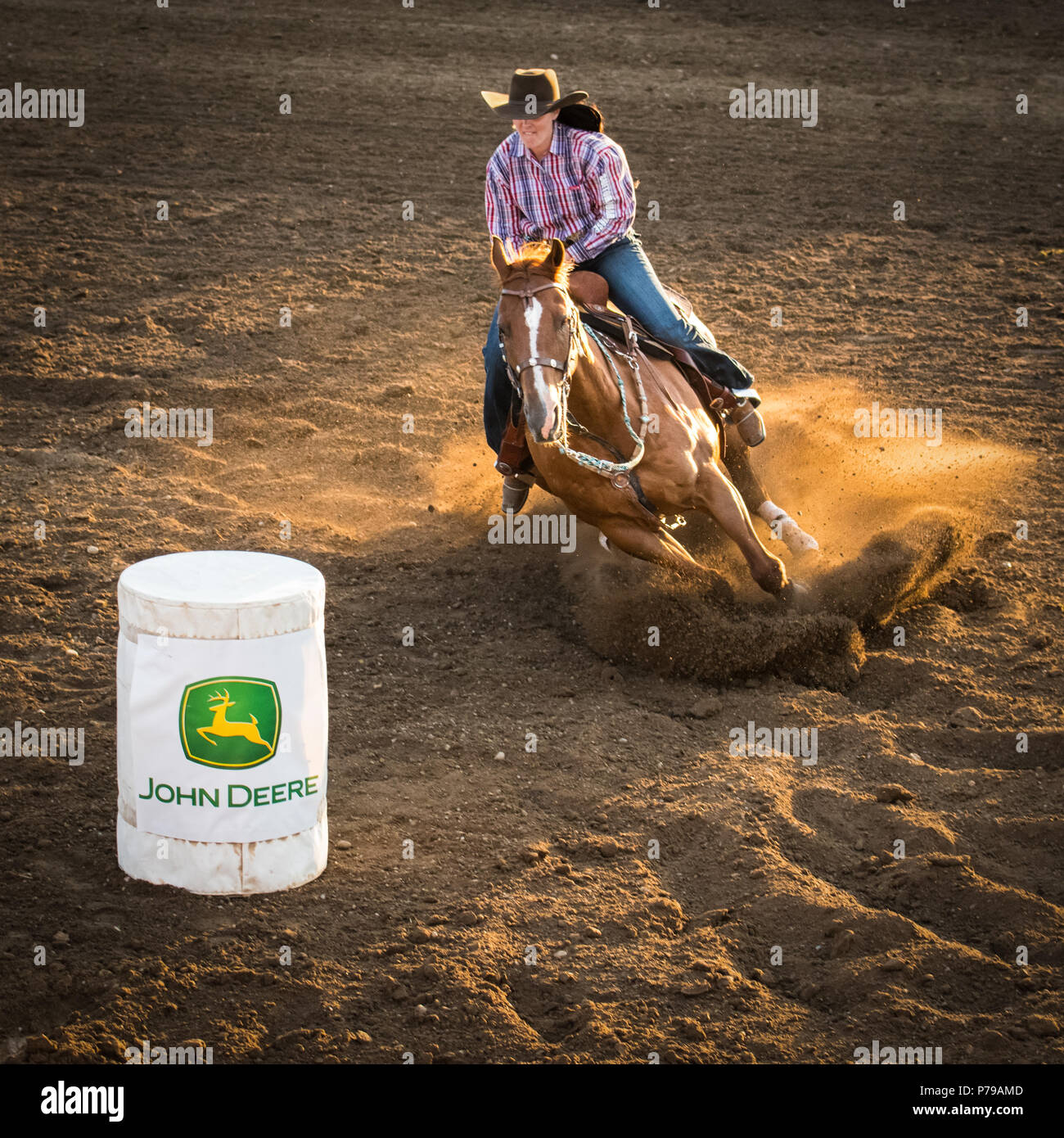A competitor and her chestnut coloured horse race around a barrel at the Airdrie Pro Rodeo. Stock Photo
