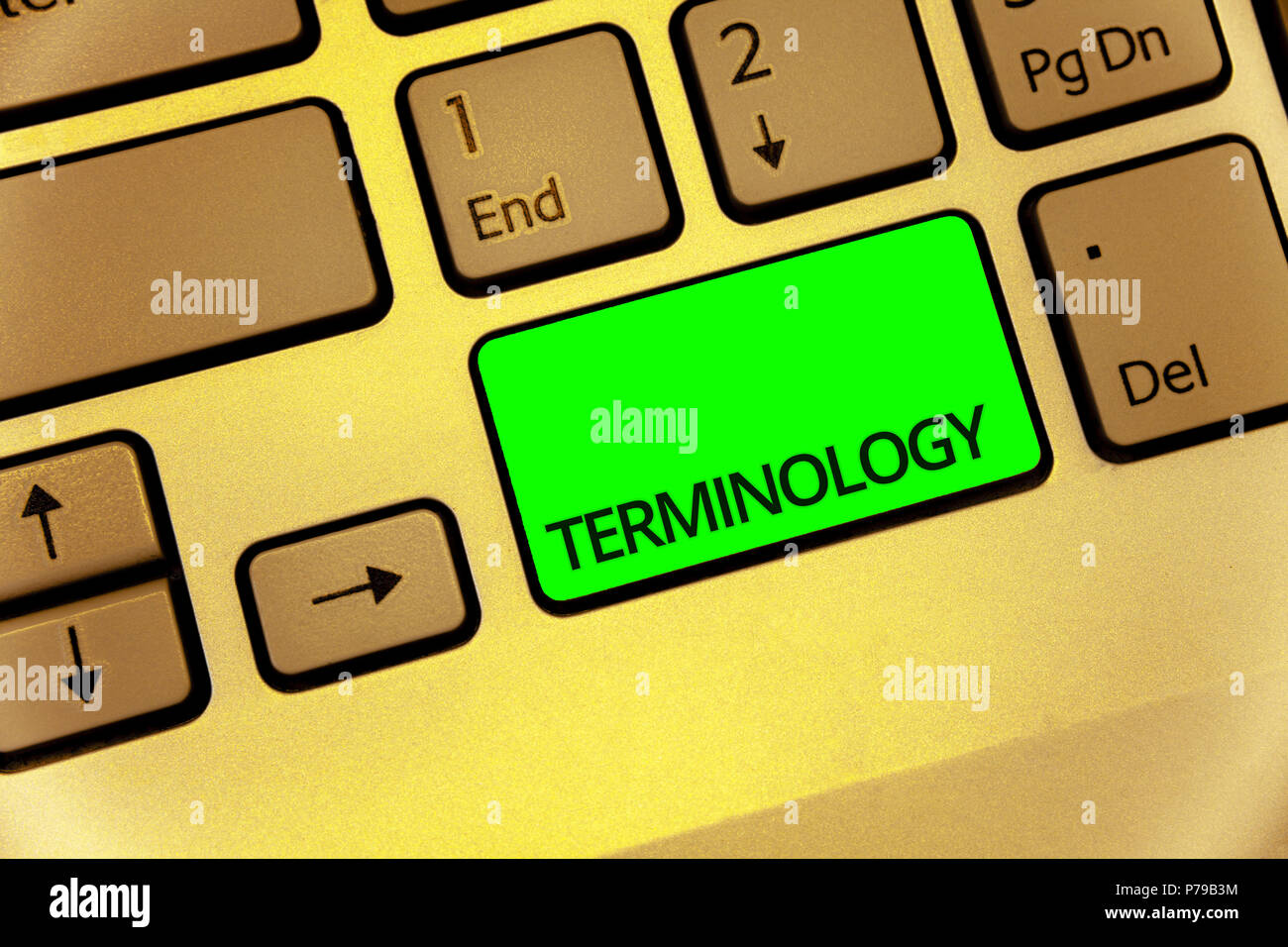 Text sign showing Terminology. Conceptual photo Collection of terms