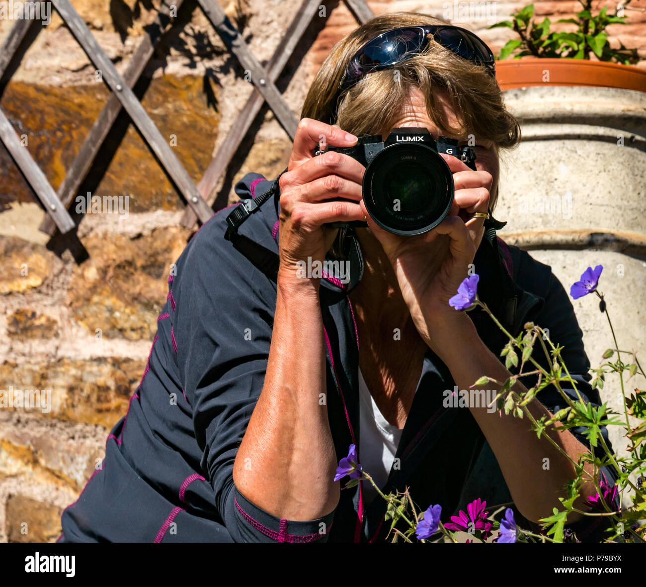 woman-photographer-taking-a-photo-in-a-sunny-garden-with-panasonic-lumix-micro-four-thirds-camera-uk-P79BYX.jpg