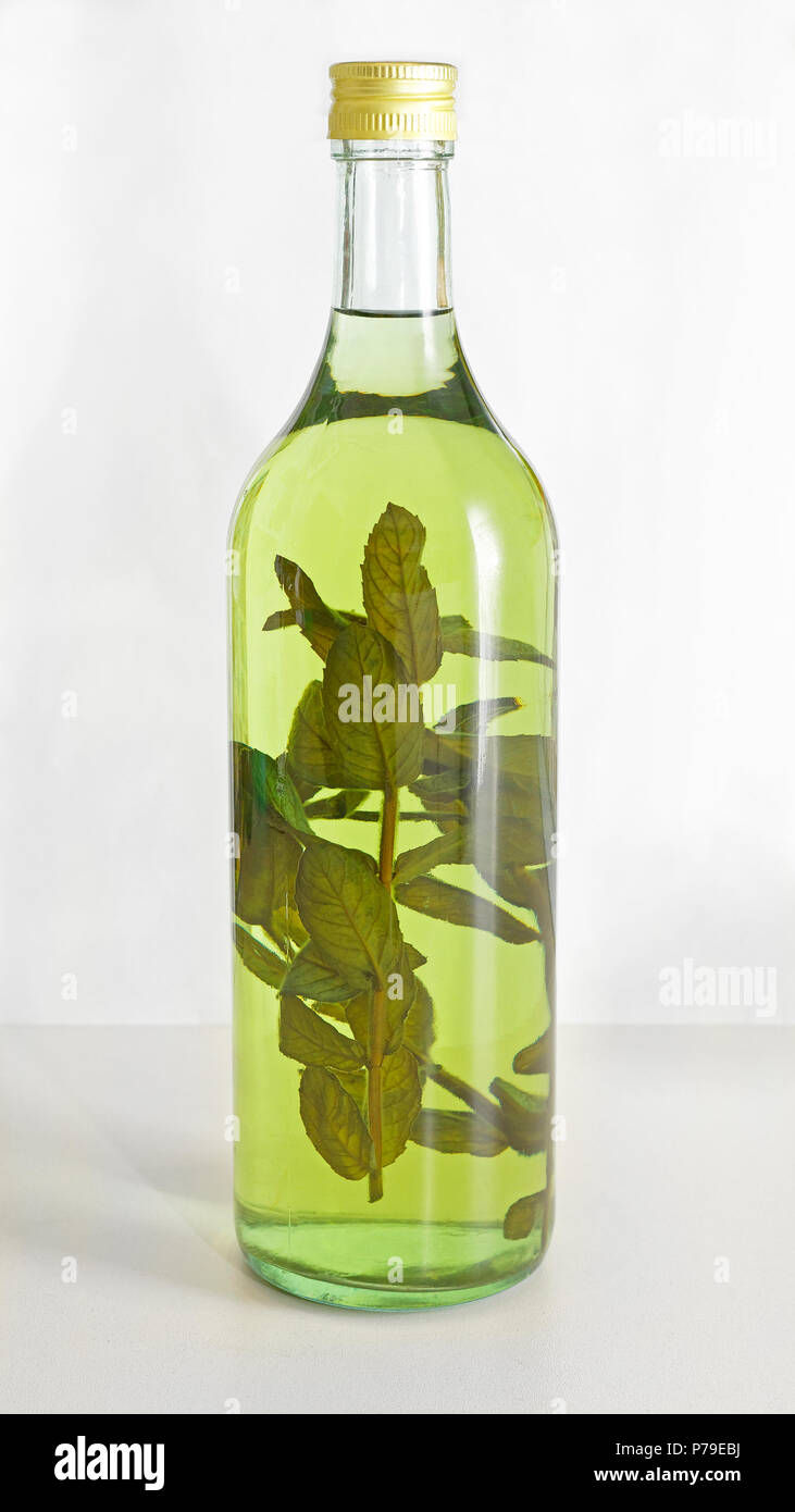 Home Brew Liqueur With Green Herbs in Bottle Stock Photo Alamy