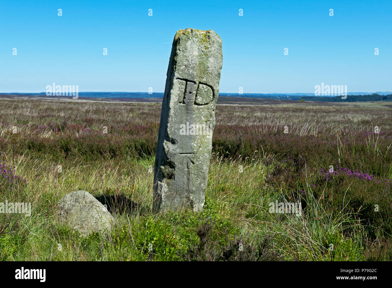 Bounday stone marked with TD (Thomas Duncombe), Rosedale, North York Moors National Park, North Yorkshire, England UK Stock Photo
