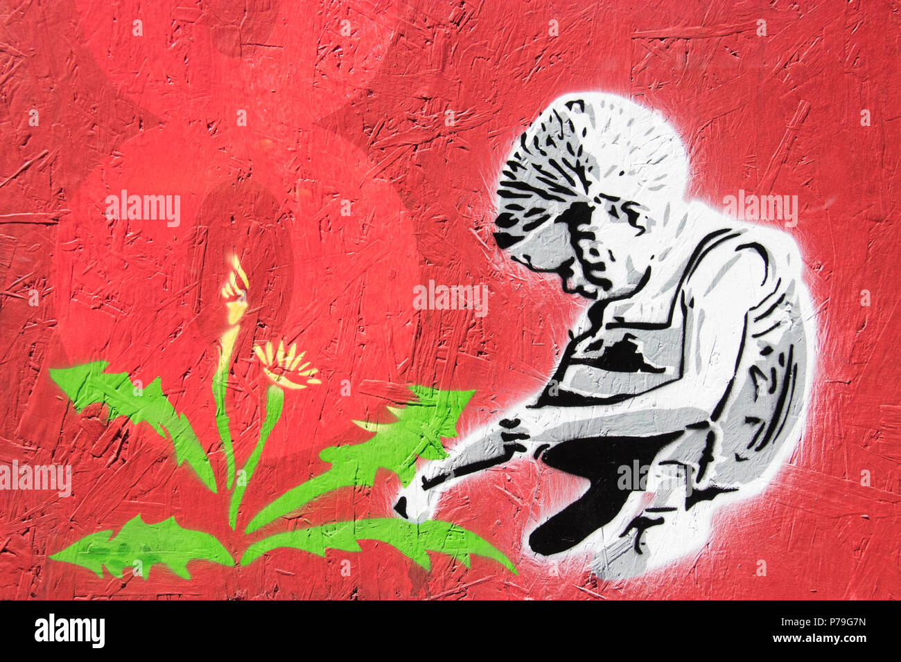 Colourful Weeds High Resolution Stock Photography and Images - Alamy