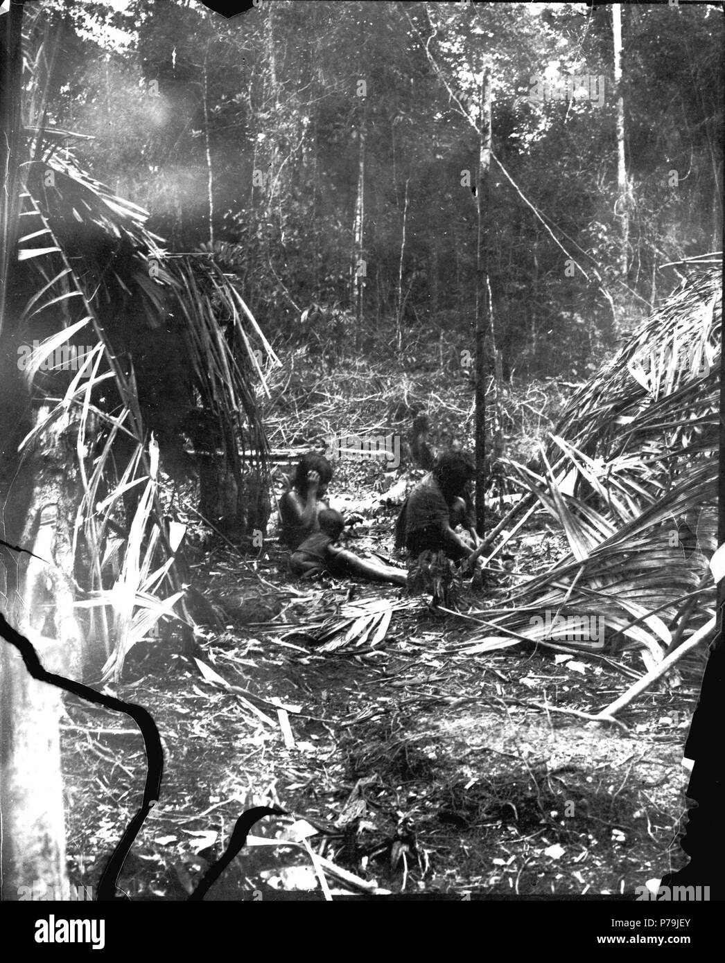 120 Familjeliv vid hyddorna. Mellan Rio Inambari och Rio Tambopata. Madre de Dios. Peru - SMVK - 002516 Stock Photo