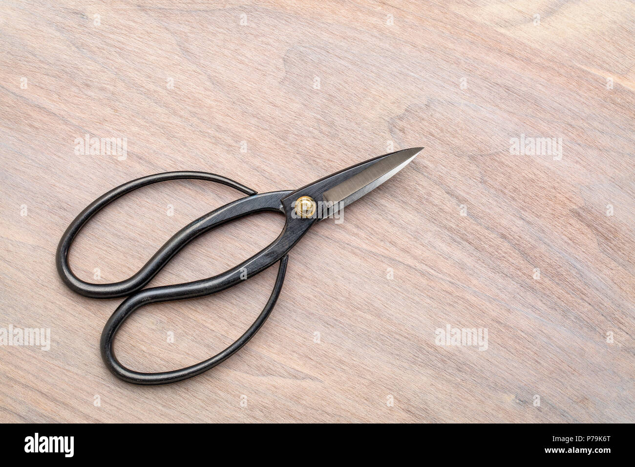 Japanese slim ohkubo shears for flower arrangement Stock Photo Alamy