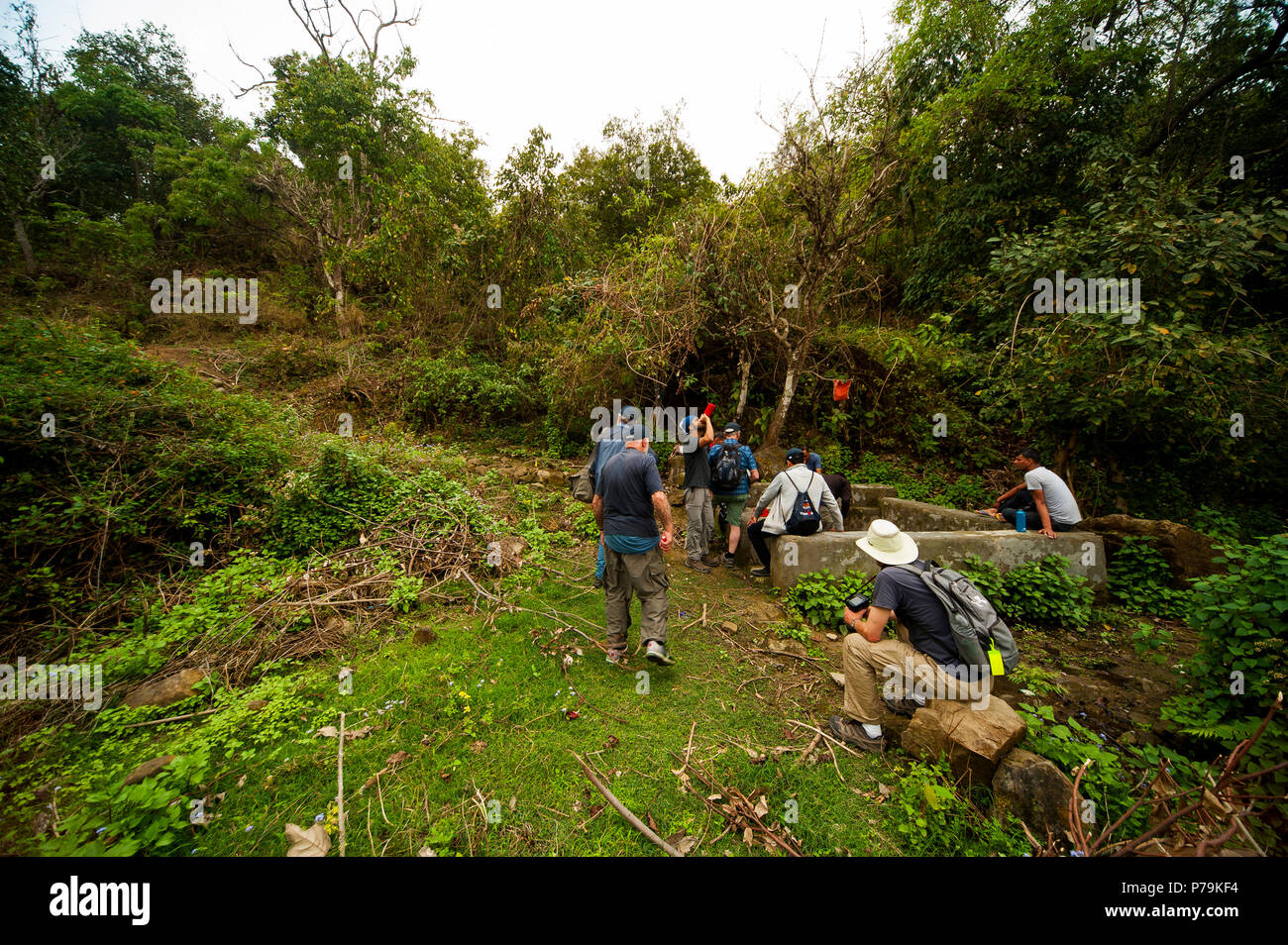 Thak maneater hires stock photography and images Alamy