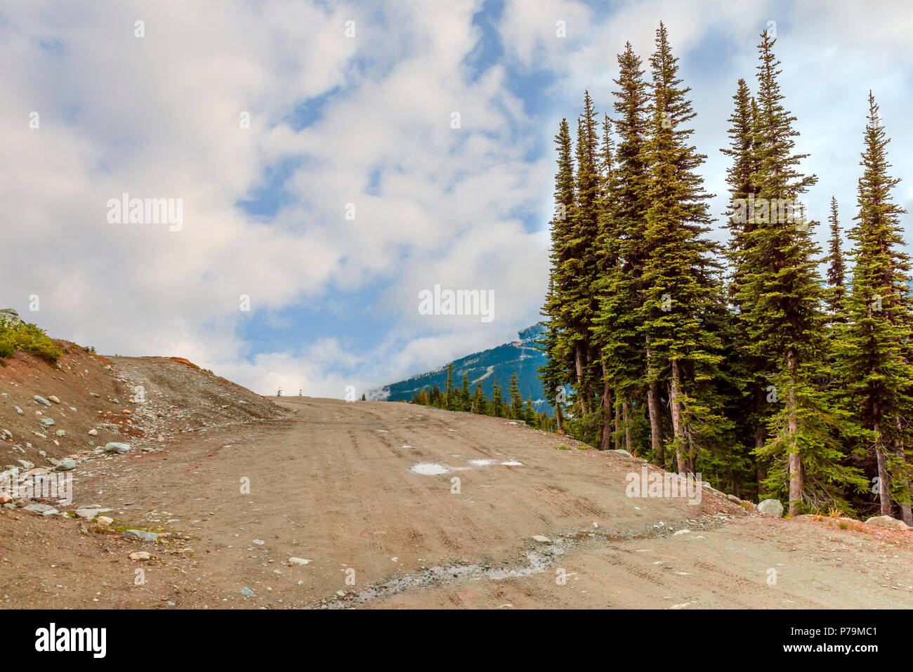 A dirt road in the rocky mountains among green firs and snowdrifts on a summer day with blue sky and white clouds Stock Photo