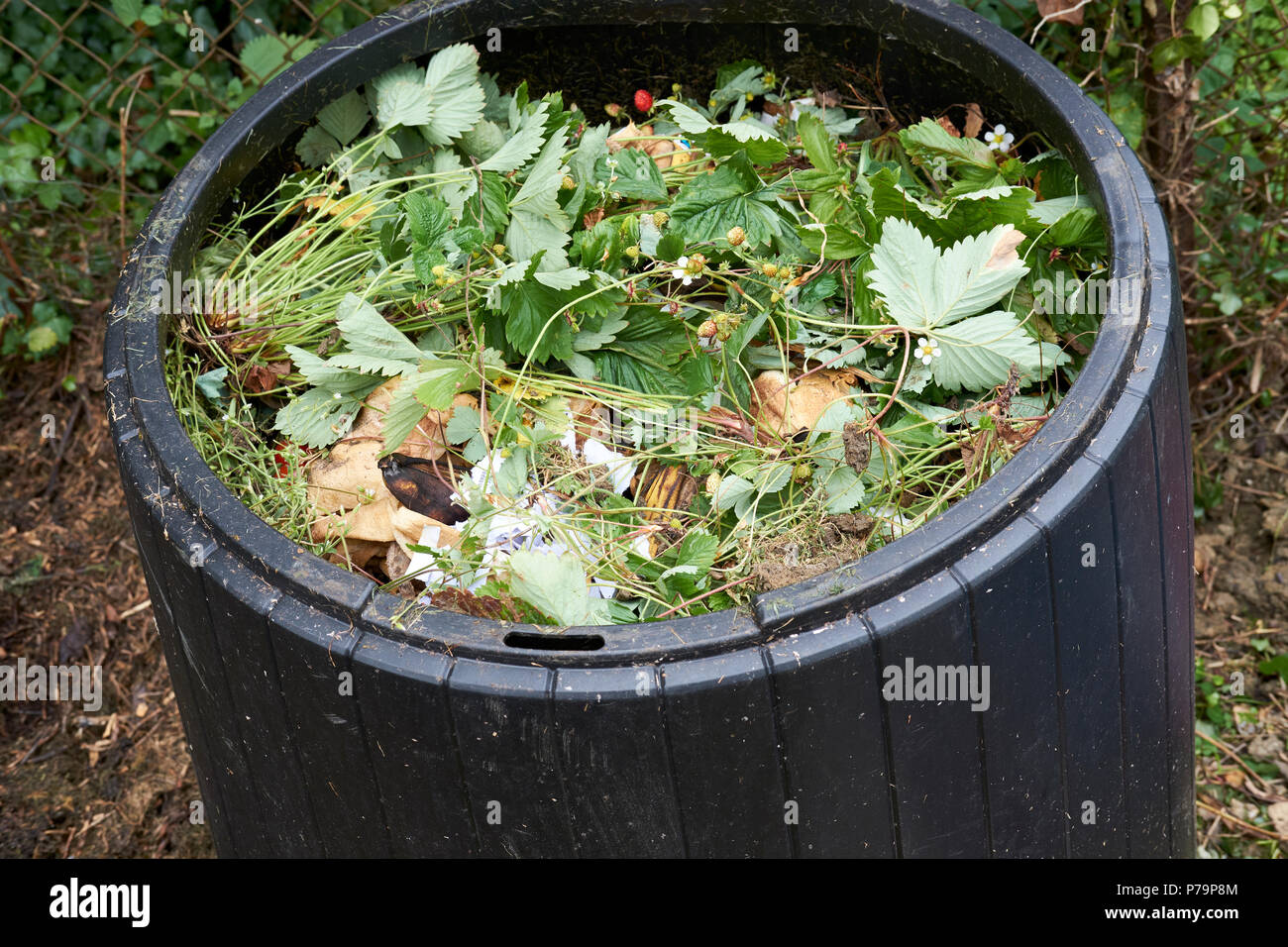 Green garden waste hires stock photography and images Alamy