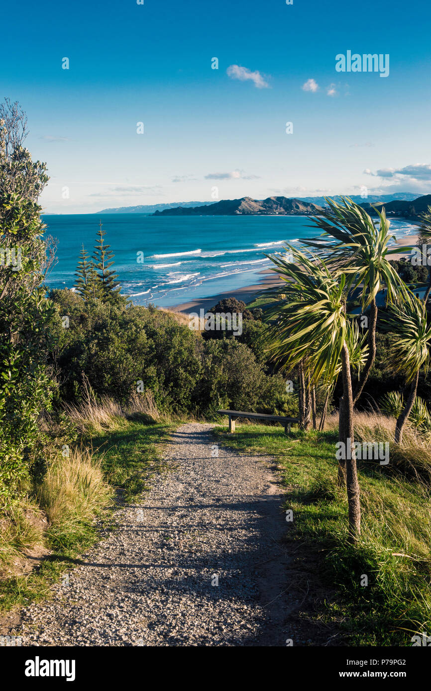 Beach at wainui bay hires stock photography and images Alamy