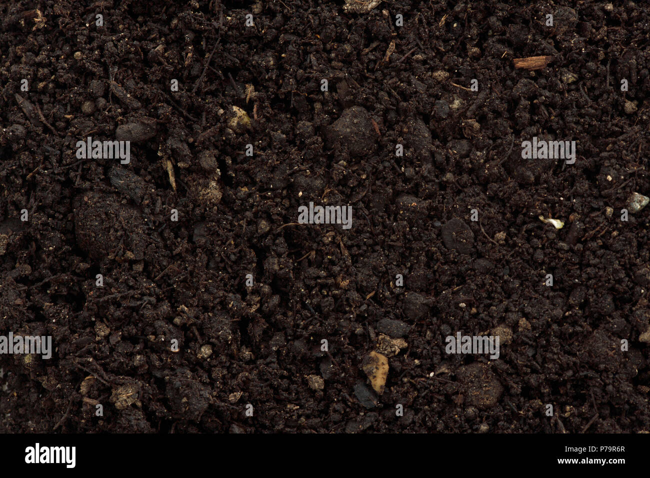 Compost Cultivation High Resolution Stock Photography and Images - Alamy
